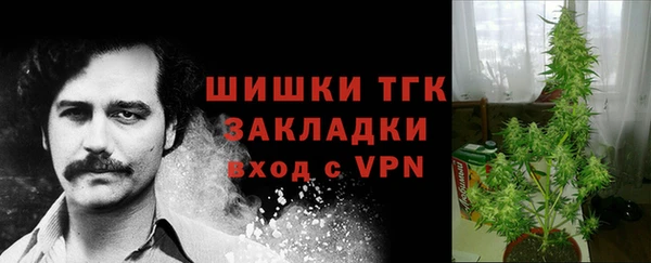 ешки Аркадак