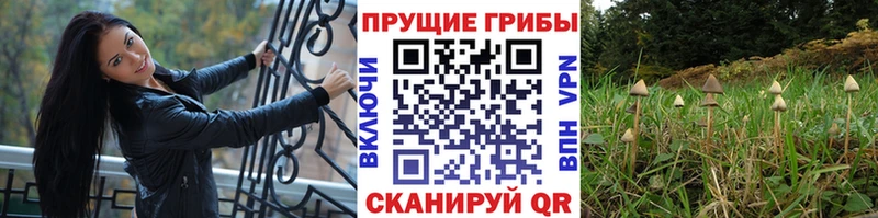Галлюциногенные грибы Magic Shrooms Омутнинск