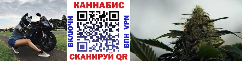 продажа наркотиков  Омутнинск  Конопля сатива 